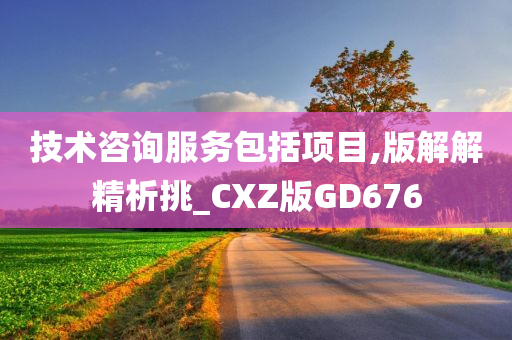 技术咨询服务包括项目,版解解精析挑_CXZ版GD676