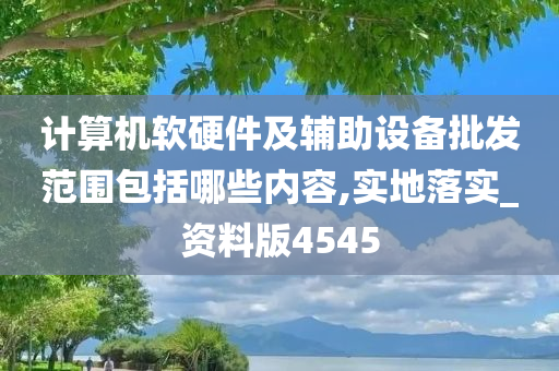 计算机软硬件及辅助设备批发范围包括哪些内容,实地落实_资料版4545