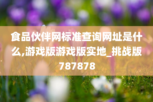 食品伙伴网标准查询网址是什么,游戏版游戏版实地_挑战版787878