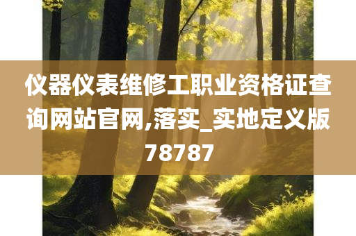 仪器仪表维修工职业资格证查询网站官网,落实_实地定义版78787