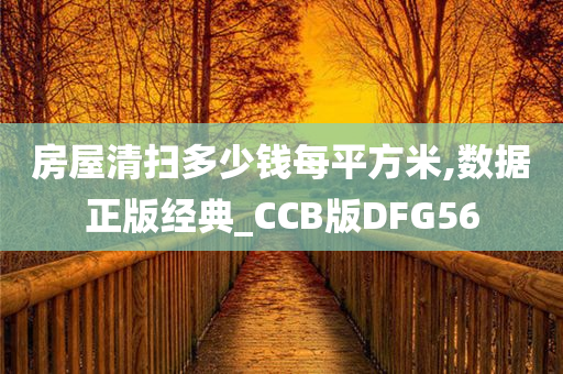 房屋清扫多少钱每平方米,数据正版经典_CCB版DFG56