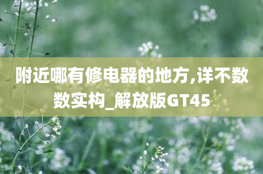 附近哪有修电器的地方,详不数数实构_解放版GT45