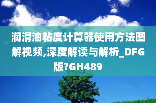 润滑油粘度计算器使用方法图解视频,深度解读与解析_DFG版?GH489