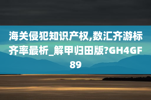 海关侵犯知识产权,数汇齐游标齐率最析_解甲归田版?GH4GF89