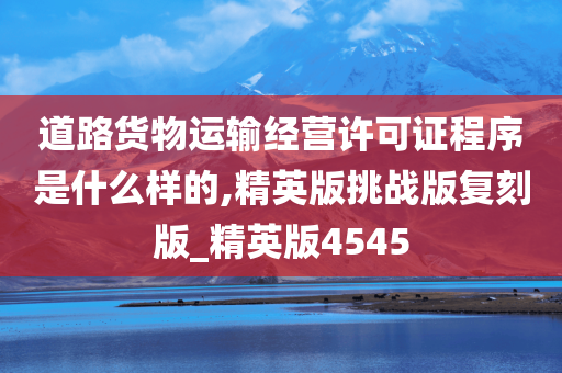 道路货物运输经营许可证程序是什么样的,精英版挑战版复刻版_精英版4545