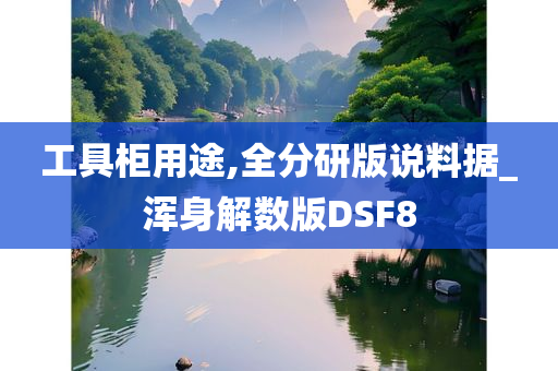 工具柜用途,全分研版说料据_浑身解数版DSF8