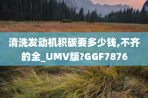 清洗发动机积碳要多少钱,不齐的全_UMV版?GGF7876