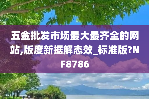 五金批发市场最大最齐全的网站,版度新据解态效_标准版?NF8786