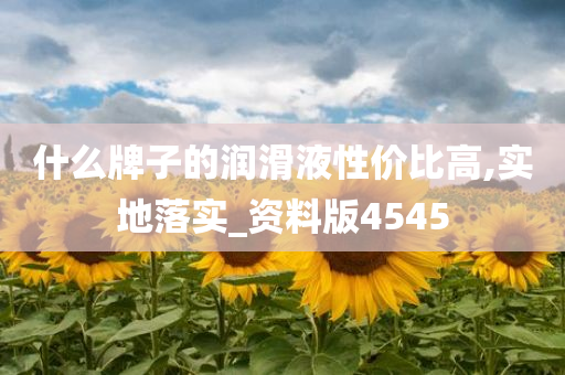 什么牌子的润滑液性价比高,实地落实_资料版4545