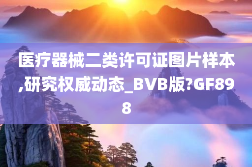 医疗器械二类许可证图片样本,研究权威动态_BVB版?GF898