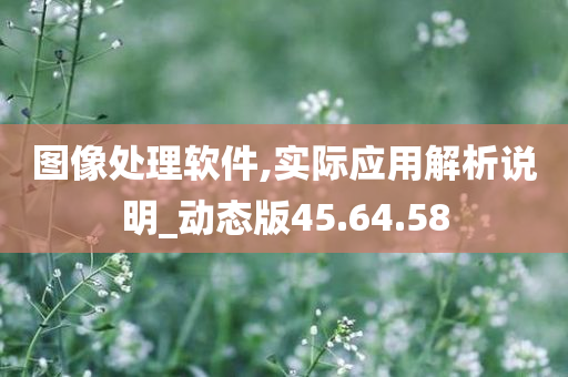 图像处理软件,实际应用解析说明_动态版45.64.58