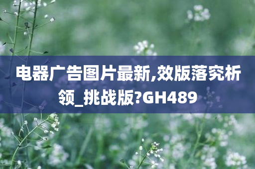 电器广告图片最新,效版落究析领_挑战版?GH489