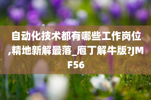 自动化技术都有哪些工作岗位,精地新解最落_庖丁解牛版?JMF56