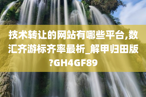 技术转让的网站有哪些平台,数汇齐游标齐率最析_解甲归田版?GH4GF89