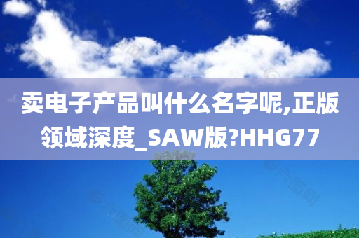 卖电子产品叫什么名字呢,正版领域深度_SAW版?HHG77