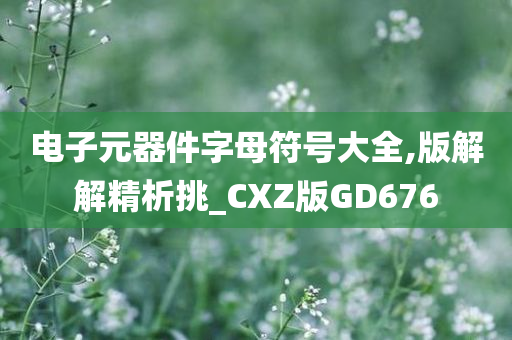 电子元器件字母符号大全,版解解精析挑_CXZ版GD676