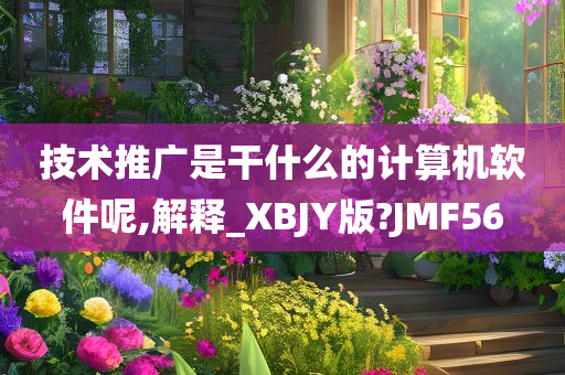 技术推广是干什么的计算机软件呢,解释_XBJY版?JMF56