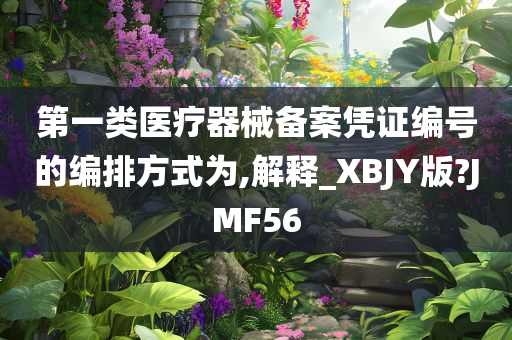 第一类医疗器械备案凭证编号的编排方式为,解释_XBJY版?JMF56