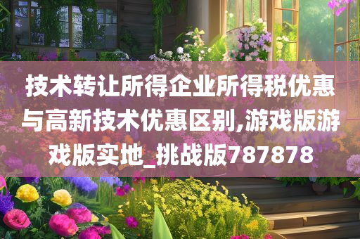 技术转让所得企业所得税优惠与高新技术优惠区别,游戏版游戏版实地_挑战版787878