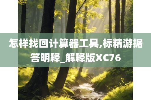 怎样找回计算器工具,标精游据答明释_解释版XC76