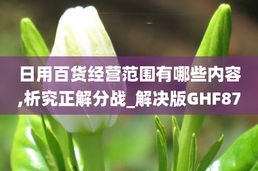 日用百货经营范围有哪些内容,析究正解分战_解决版GHF87