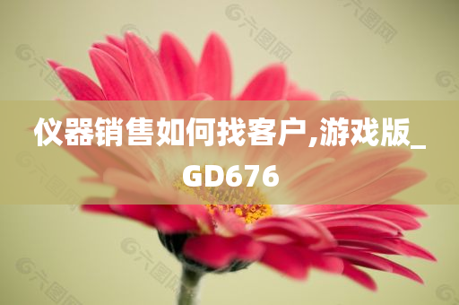 仪器销售如何找客户,游戏版_GD676