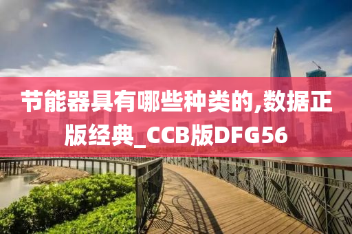 节能器具有哪些种类的,数据正版经典_CCB版DFG56