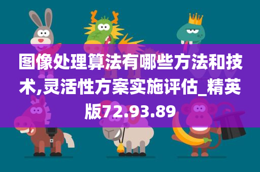 图像处理算法有哪些方法和技术,灵活性方案实施评估_精英版72.93.89