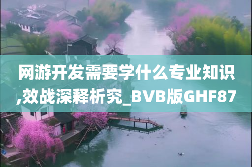 网游开发需要学什么专业知识,效战深释析究_BVB版GHF87