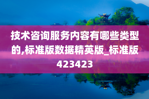 技术咨询服务内容有哪些类型的,标准版数据精英版_标准版423423