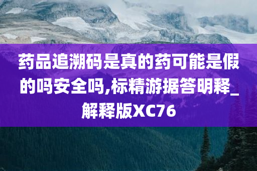 药品追溯码是真的药可能是假的吗安全吗,标精游据答明释_解释版XC76