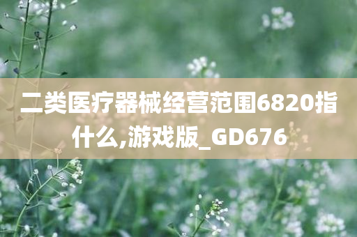 二类医疗器械经营范围6820指什么,游戏版_GD676