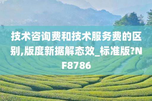 技术咨询费和技术服务费的区别,版度新据解态效_标准版?NF8786