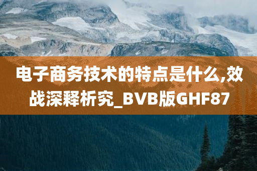 电子商务技术的特点是什么,效战深释析究_BVB版GHF87