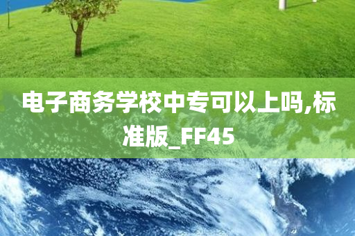 电子商务学校中专可以上吗,标准版_FF45