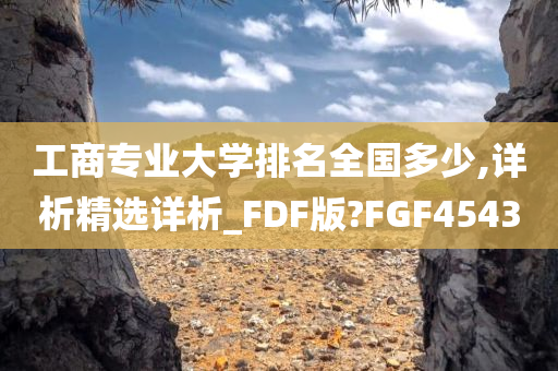 工商专业大学排名全国多少,详析精选详析_FDF版?FGF4543