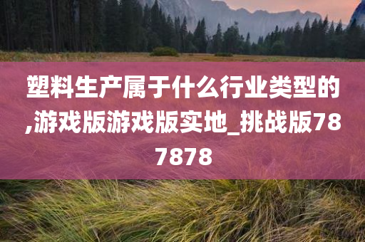 塑料生产属于什么行业类型的,游戏版游戏版实地_挑战版787878