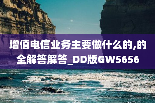 增值电信业务主要做什么的,的全解答解答_DD版GW5656