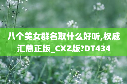 八个美女群名取什么好听,权威汇总正版_CXZ版?DT434