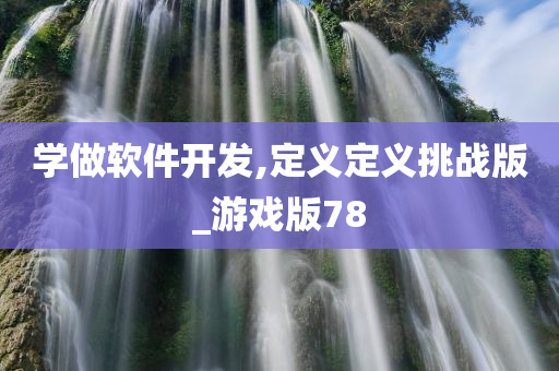 学做软件开发,定义定义挑战版_游戏版78