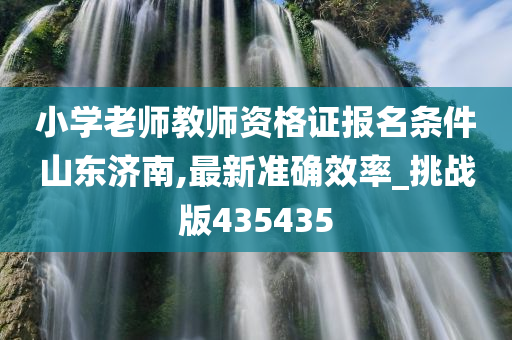 小学老师教师资格证报名条件山东济南,最新准确效率_挑战版435435