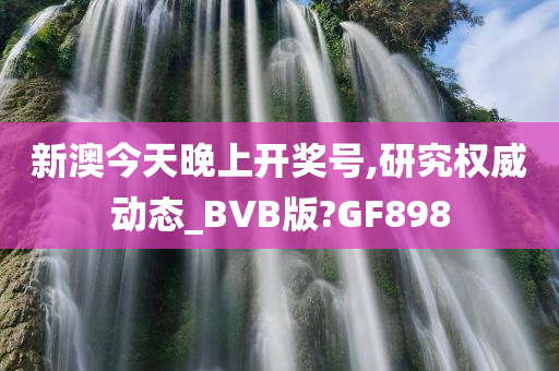 新澳今天晚上开奖号,研究权威动态_BVB版?GF898