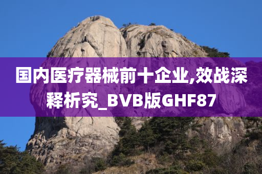 国内医疗器械前十企业,效战深释析究_BVB版GHF87