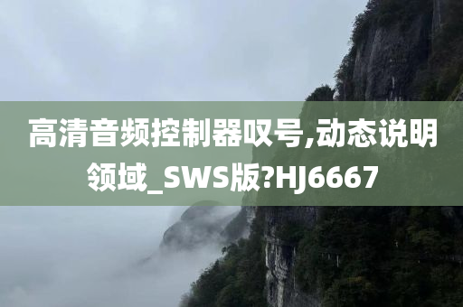 高清音频控制器叹号,动态说明领域_SWS版?HJ6667