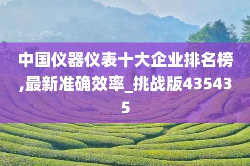 中国仪器仪表十大企业排名榜,最新准确效率_挑战版435435