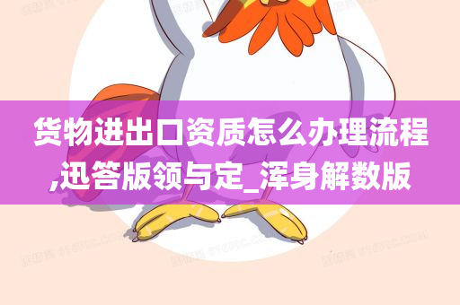 货物进出口资质怎么办理流程,迅答版领与定_浑身解数版