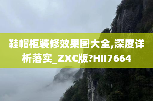 鞋帽柜装修效果图大全,深度详析落实_ZXC版?HII7664