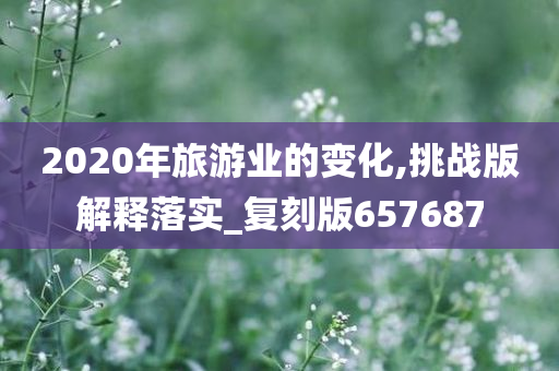 2020年旅游业的变化,挑战版解释落实_复刻版657687