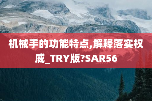 机械手的功能特点,解释落实权威_TRY版?SAR56