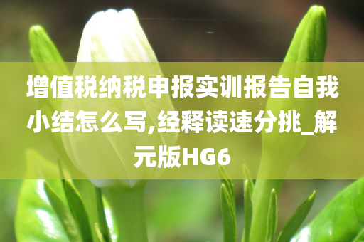 增值税纳税申报实训报告自我小结怎么写,经释读速分挑_解元版HG6